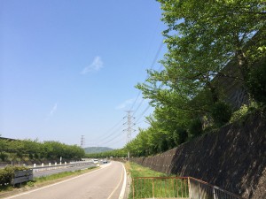 中央道桃花台バス停